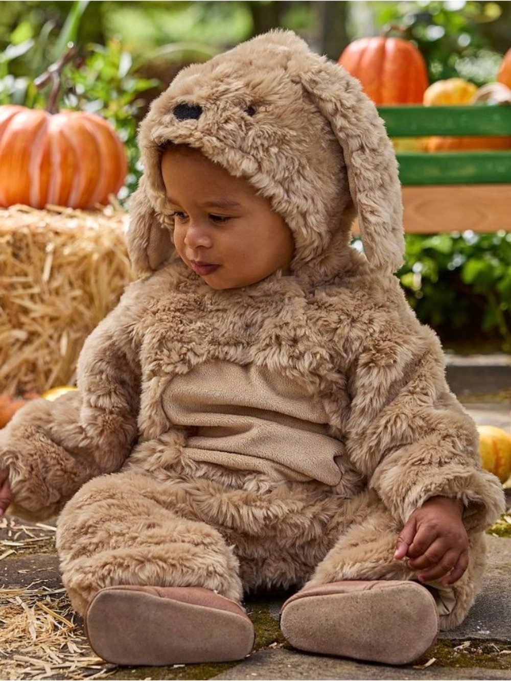 Pottery Barn Kids labradoodle / goldendoole / golden retriever baby costume